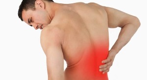 why the back hurts in the lower back